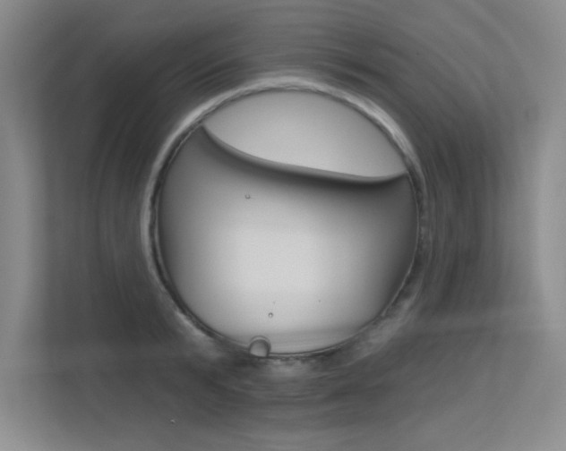 X0000113360799200909151005
