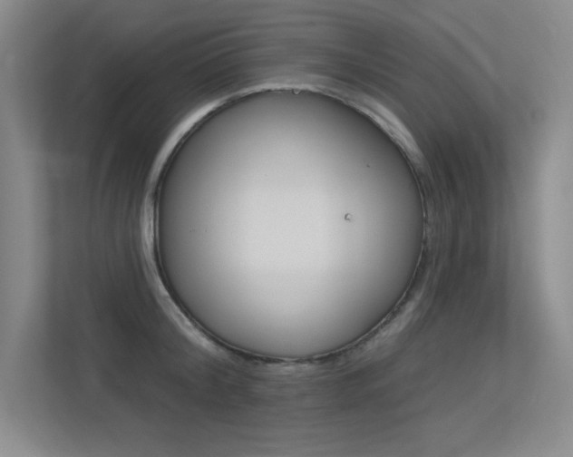 X0000113360804200909151005