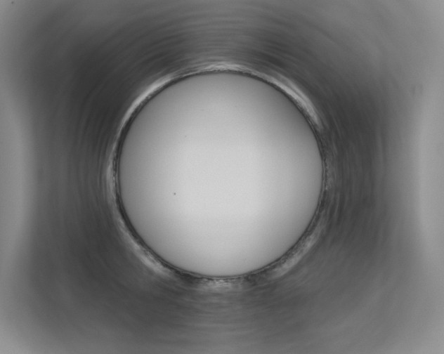 X0000113360806200909151005