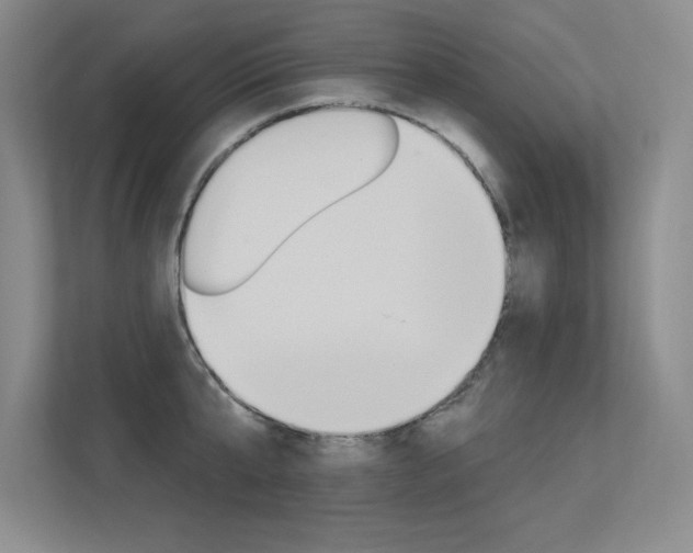 X0000113360807200909151005