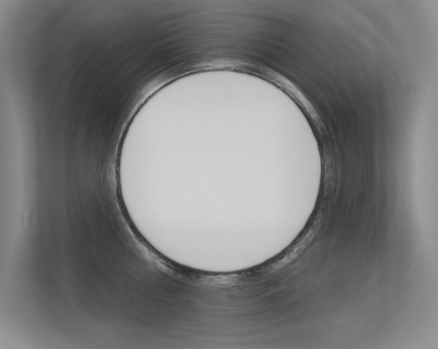 X0000113360810200909151005