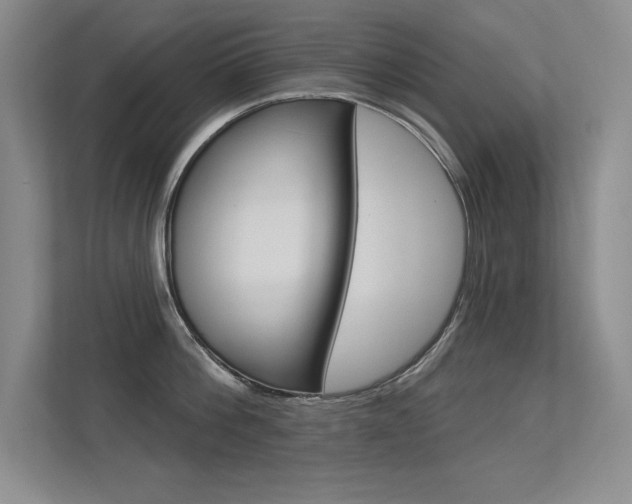 X0000113360812200909151005