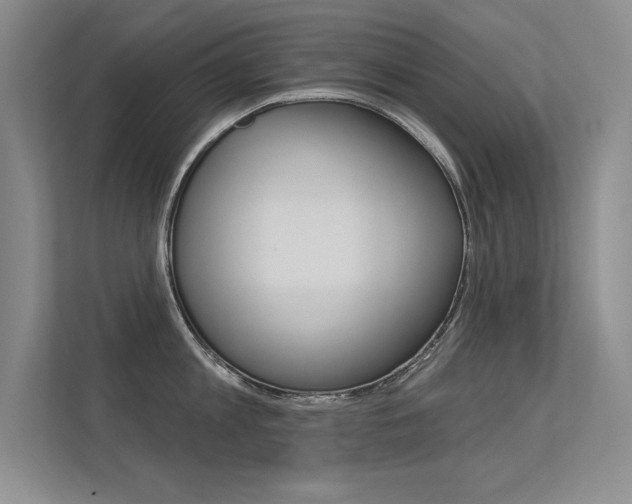 X0000113360813200909151005