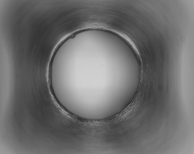 X0000113360815200909151005