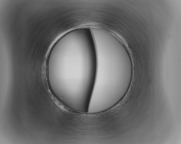 X0000113360816200909151005