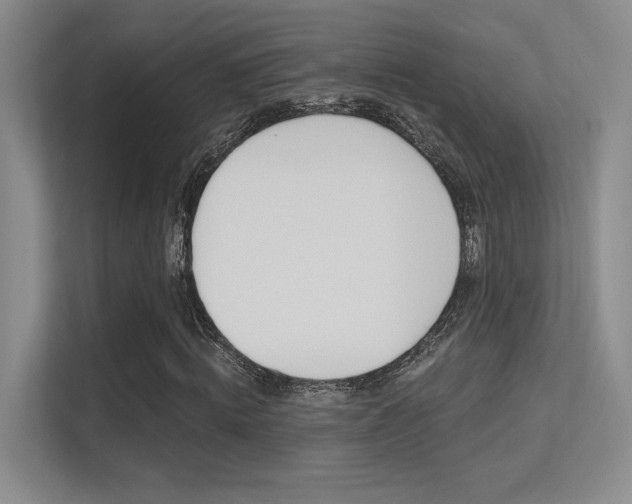 X0000113360820200909151004