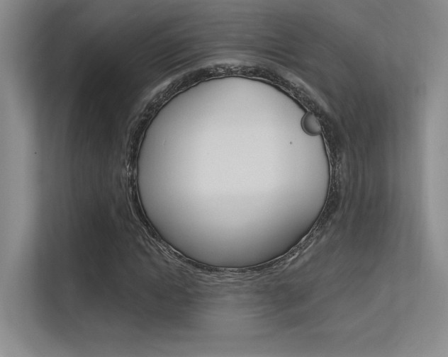 X0000113360822200909151005