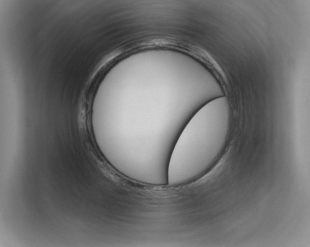 X0000113360827200909151005