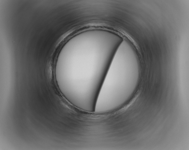 X0000113360829200909151005