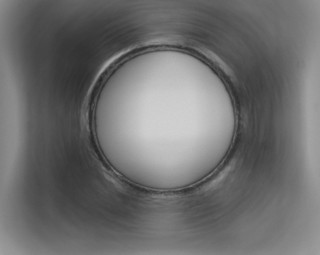 X0000113360830200909151005
