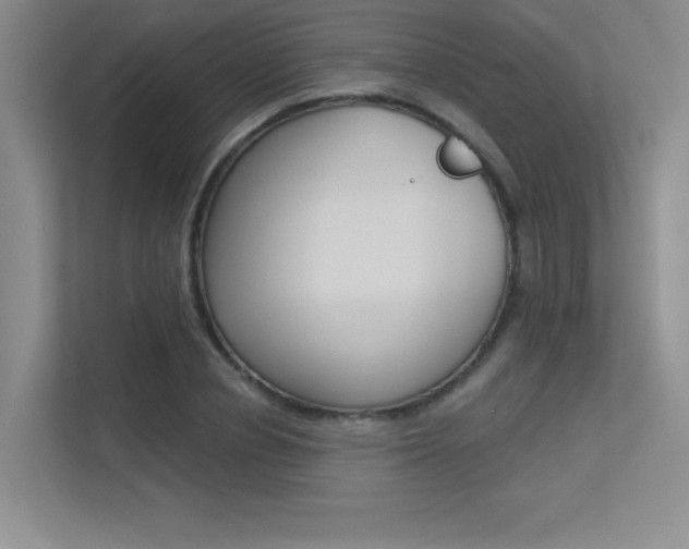 X0000113360834200909151005