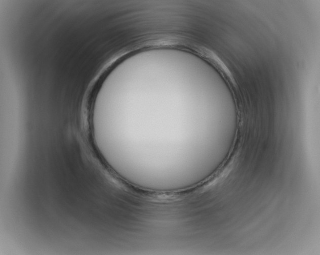 X0000113360835200909151005