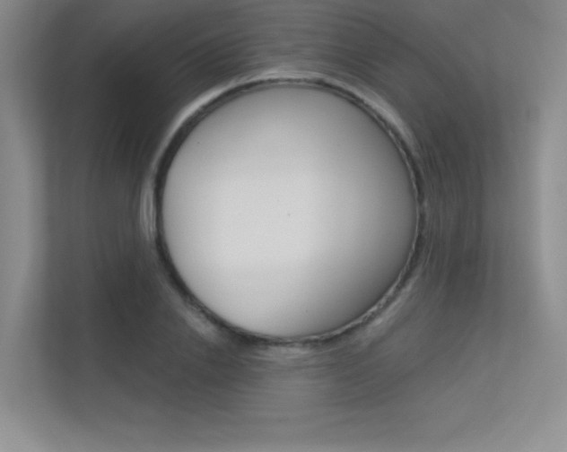 X0000113360838200909151005
