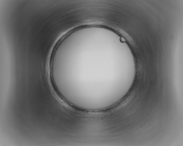 X0000113360840200909151005