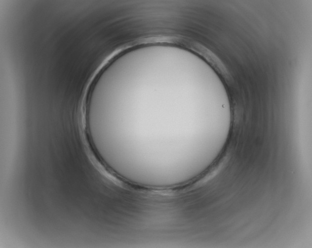 X0000113360844200909151005