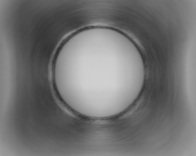 X0000113360848200909151005