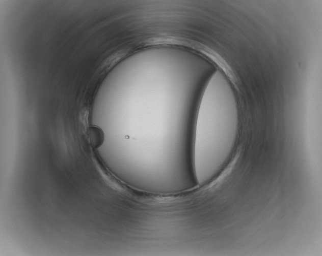 X0000113360849200909151005