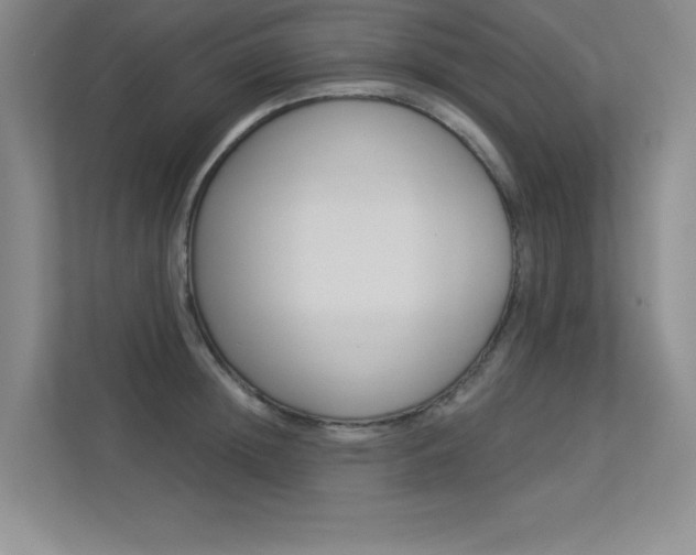 X0000113360852200909151005