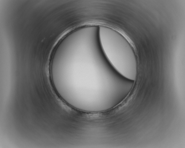 X0000113360853200909151005