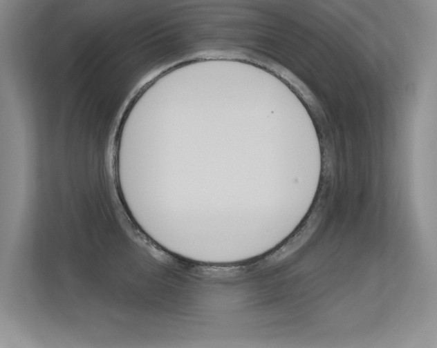 X0000113360856200909151005