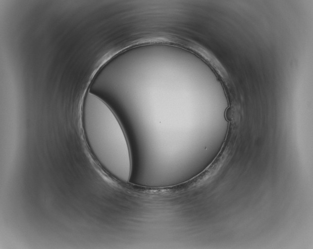 X0000113360858200909151005