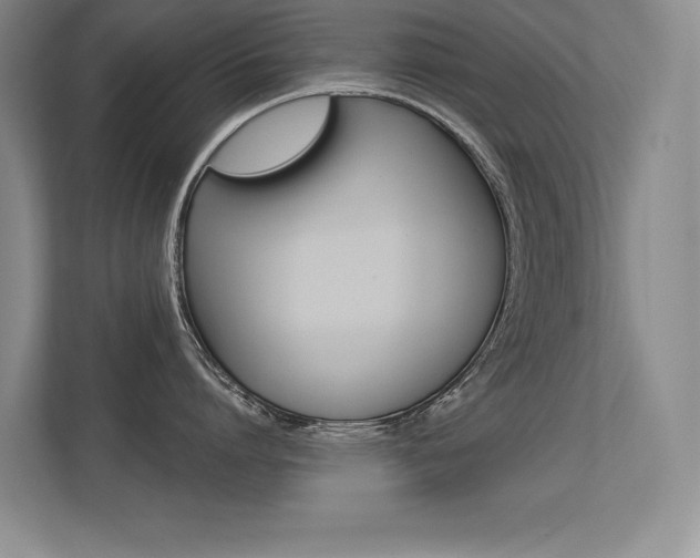X0000113360864200909151005