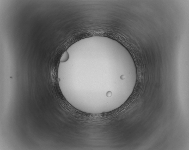 X0000113360866200909151004