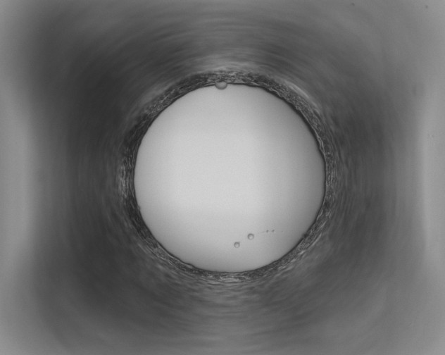 X0000113360869200909151004