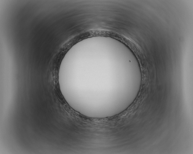 X0000113360870200909151004
