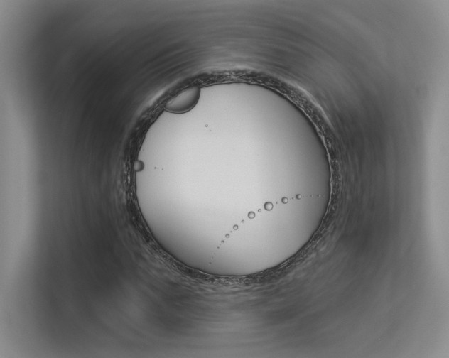 X0000113360871200909151004