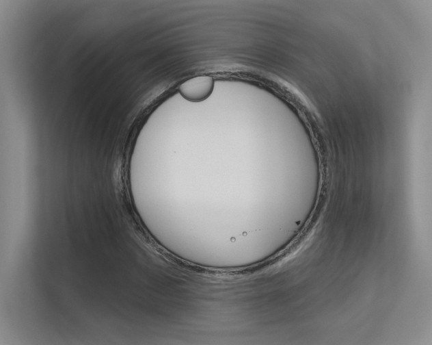 X0000113360873200909151004
