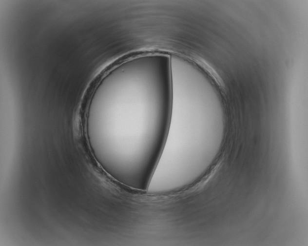 X0000113360876200909151004