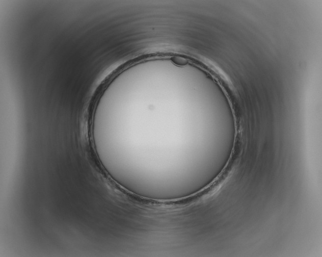 X0000113360877200909151004