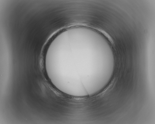 X0000113360878200909151004