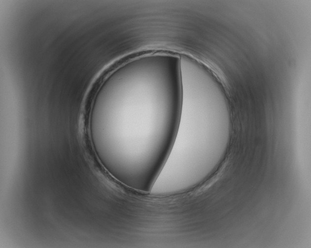 X0000113360880200909151004