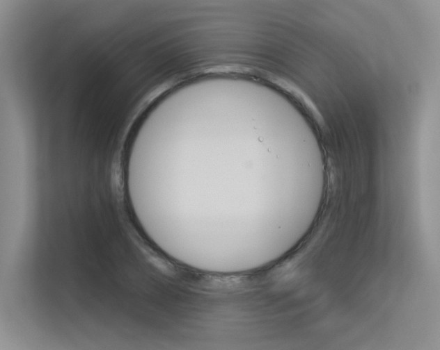 X0000113360882200909151004