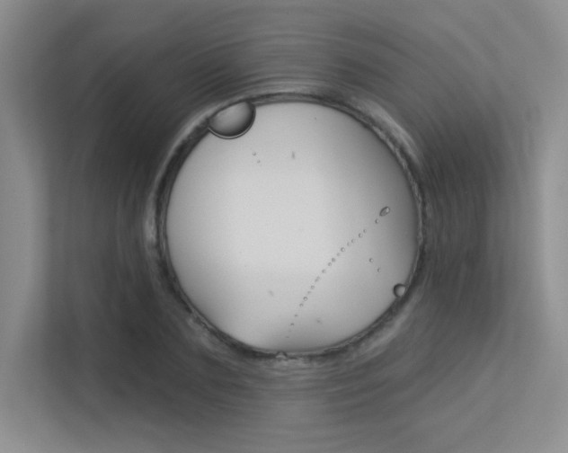 X0000113360883200909151004