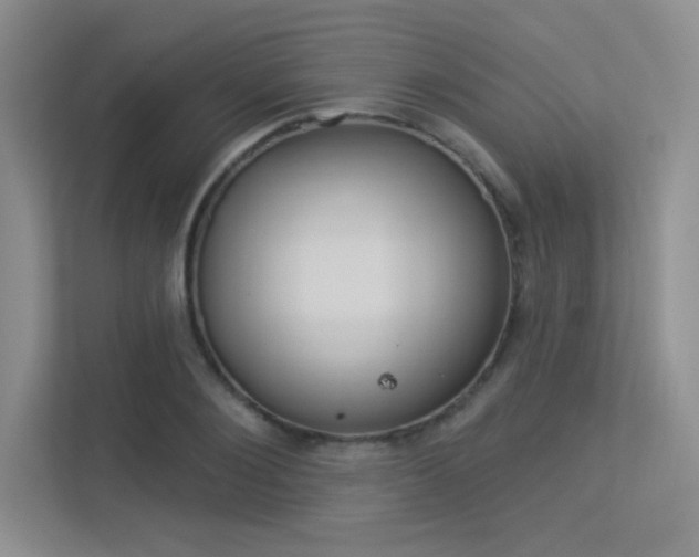 X0000113360884200909151004