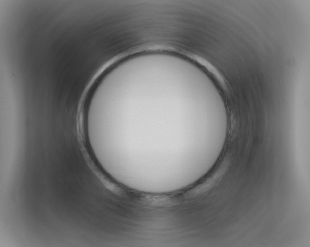 X0000113360886200909151004