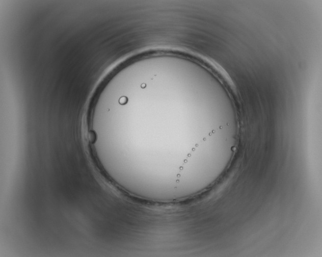 X0000113360887200909151004