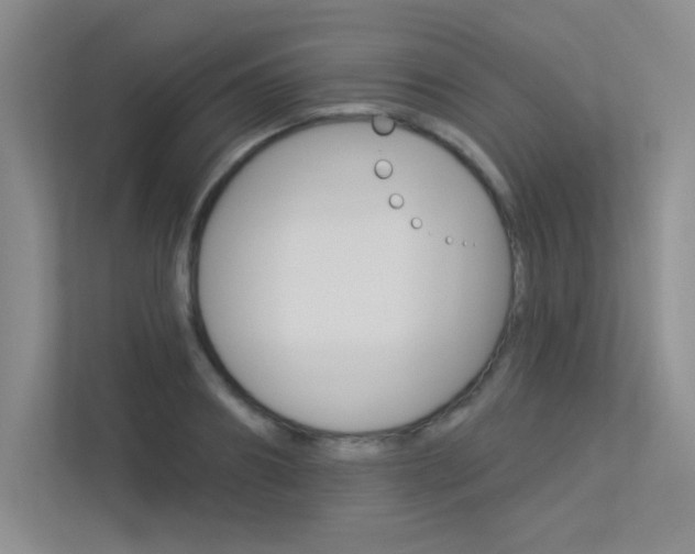 X0000113360890200909151004