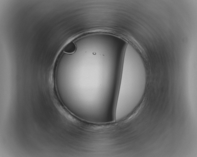 X0000113360892200909151004