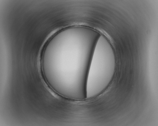X0000113360894200909151004