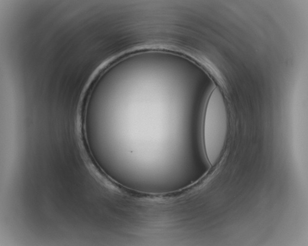 X0000113360896200909151004