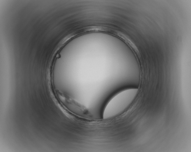 X0000113360898200909151004