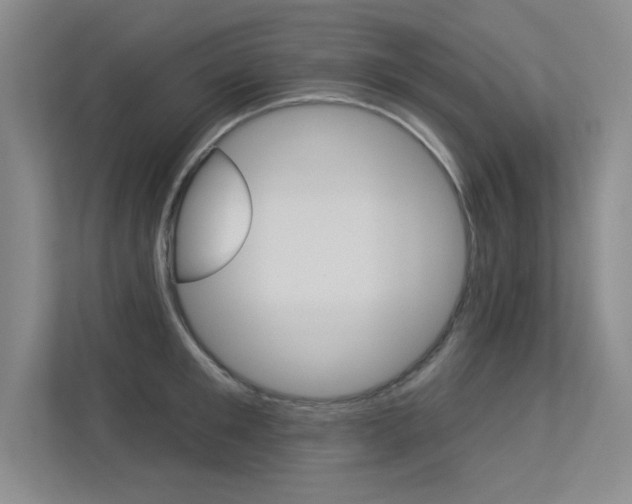 X0000113360901200909151004