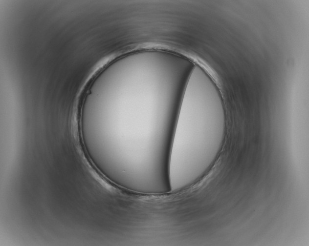 X0000113360902200909151004