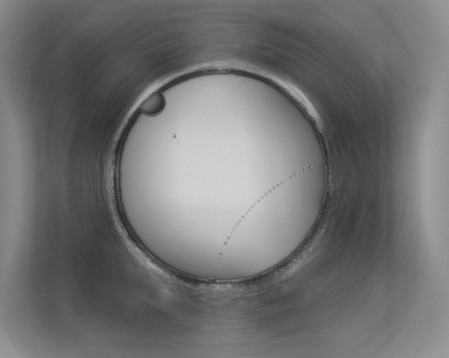 X0000113360903200909151004