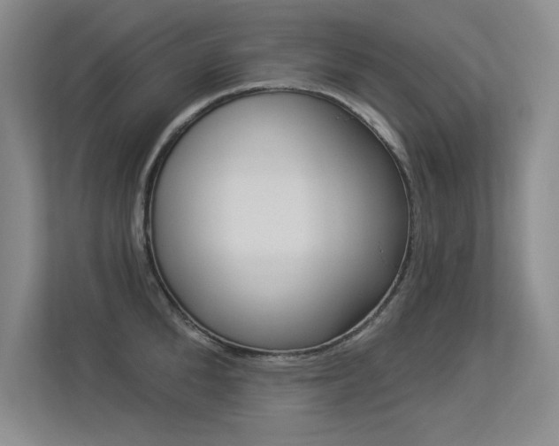 X0000113360904200909151004