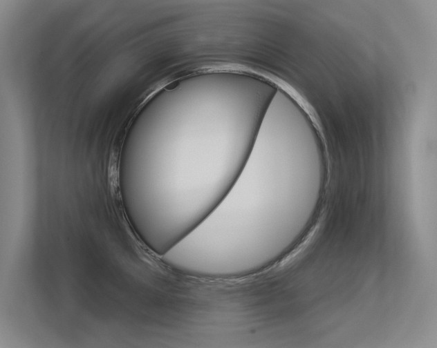 X0000113360905200909151004